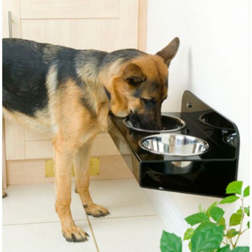 Pleksi Kurumsal Ürünler, Bursa Pleksi Kurumsal Ürünler, Pleksi Dünyası, Bursa Pleksi Dünyası, Pleksi Ürün Çeşitleri, Pleksi Levha Çeşitleri, Renkli Ya Da Şeffaf-Beyaz Pleksi, Şeffaf Pleksi, Siyah Beyaz Pleksi, Pleksi Ürünler, Bursa Pleksi Ürünler, Pleksi Evcil Hayvan Ürünleri, Pleksi Evcil Hayvan Ürün Çeşitleri, Pleksi Pet Ürünleri, Pleksi Mama Kabı, Pleksi Pet Mama ve Yatak Seti, Pleksi Kuş Yuvası, Bursa Pleksi Evcil Hayvan Ürünleri, Pleksi Kedi Mama Kabı, Pleksi Köpek Mama Kabı, Pleksi Kâseli Mama Kabı