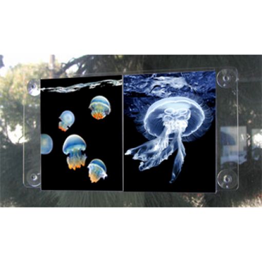 Bursa Pleksi Dünyası, Bursa Pleksi Ürünler, Pleksi Kurumsal Ürünler, Bursa Pleksi Kurumsal Ürünler, Renkli Pleksi, Şeffaf Pleksi, Buzlu Pleksi Bursa Pleksi Föylük Çeşitleri, Bursa Pleksi Fiyatlık Çeşitleri, Pleksi Föylükler, Pleksi Fiyatlıklar, Pleksi Yatay Föylük Çeşitleri, Pleksi Dikey Föylük Çeşitleri, Pleksi Mıknatıslı Föylük Çeşitleri, Pleksi Masa Üstü Föylük, Masa Üstü Fiyatlıklar, Pleksi ilan Tutucular, Bursa Pleksi ilan Tutucular, Dikey Mıknatıslı Pleksi Föylük, Dikey Mıknatıslı Pleksi Fiyatlık, ,Yatay Mıknatıslı Pleksi Föylük, Yatay Mıknatıslı Pleksi Fiyatlık, , Dikey Mıknatıslı Pleksi Foto Föylük, Yatay Mıknatıslı Pleksi Foto Föylük,  Duvar Montaj Tipi Föylük, Duvar Montaj Tipi Dikey Föylük, Duvar Montaj Tipi Yatay Föylük, Pleksi Dikey Ceplik, Pleksi Yatay Ceplik, Mini Çift Mandalı Fiyatlık, Klipsli Fiyat Mandalı, Kıskaçlı Fiyat Mandalı, Pleksi Fiyat Mandalı, Fiyat Mandalı Çeşitleri, Mini Kısa Fiyat Geniş Klipsi Mafsallı, Kıskaçlı Fiyat Mandalı