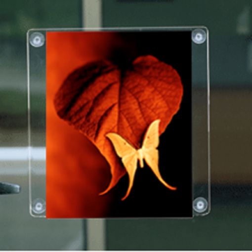 Vantuzlu Cam Tipi Föylük,Bursa Pleksi Dünyası, Bursa Pleksi Ürünler, Pleksi Kurumsal Ürünler, Bursa Pleksi Kurumsal Ürünler, Renkli Pleksi, Şeffaf Pleksi, Buzlu Pleksi Bursa Pleksi Föylük Çeşitleri, Bursa Pleksi Fiyatlık Çeşitleri, Pleksi Föylükler, Pleksi Fiyatlıklar, Pleksi Yatay Föylük Çeşitleri, Pleksi Dikey Föylük Çeşitleri, Pleksi Mıknatıslı Föylük Çeşitleri, Pleksi Masa Üstü Föylük, Masa Üstü Fiyatlıklar, Pleksi ilan Tutucular, Bursa Pleksi ilan Tutucular, Dikey Mıknatıslı Pleksi Föylük, Dikey Mıknatıslı Pleksi Fiyatlık, ,Yatay Mıknatıslı Pleksi Föylük, Yatay Mıknatıslı Pleksi Fiyatlık, , Dikey Mıknatıslı Pleksi Foto Föylük, Yatay Mıknatıslı Pleksi Foto Föylük,  Duvar Montaj Tipi Föylük, Duvar Montaj Tipi Dikey Föylük, Duvar Montaj Tipi Yatay Föylük, Pleksi Dikey Ceplik, Pleksi Yatay Ceplik, Mini Çift Mandalı Fiyatlık, Klipsli Fiyat Mandalı, Kıskaçlı Fiyat Mandalı, Pleksi Fiyat Mandalı, Fiyat Mandalı Çeşitleri, Mini Kısa Fiyat Geniş Klipsi Mafsallı, Kıskaçlı Fiyat Mandalı